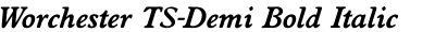 Worchester TS-Demi Bold Italic